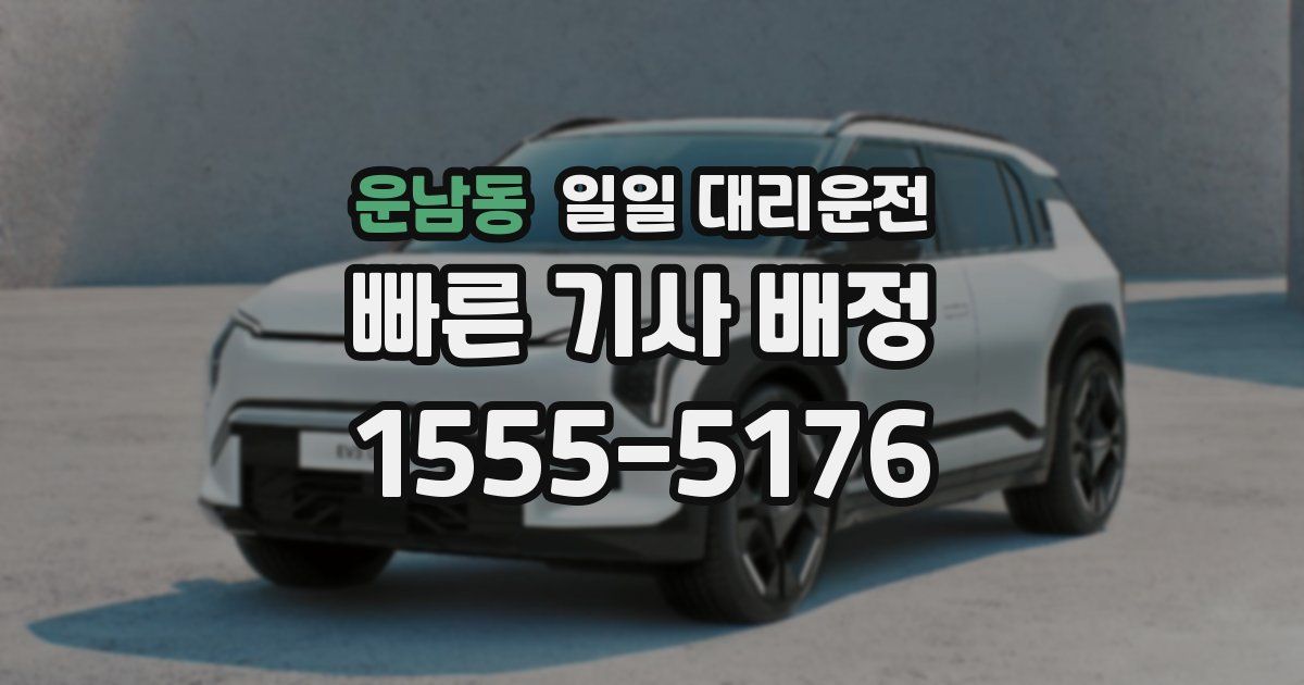 운남동 일일 대리운전