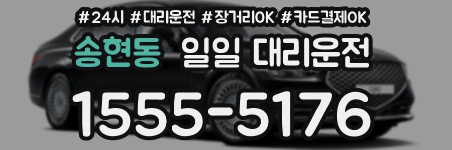 송현동 일일 대리운전