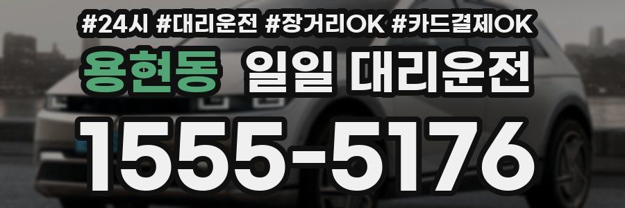 용현동 일일 대리운전