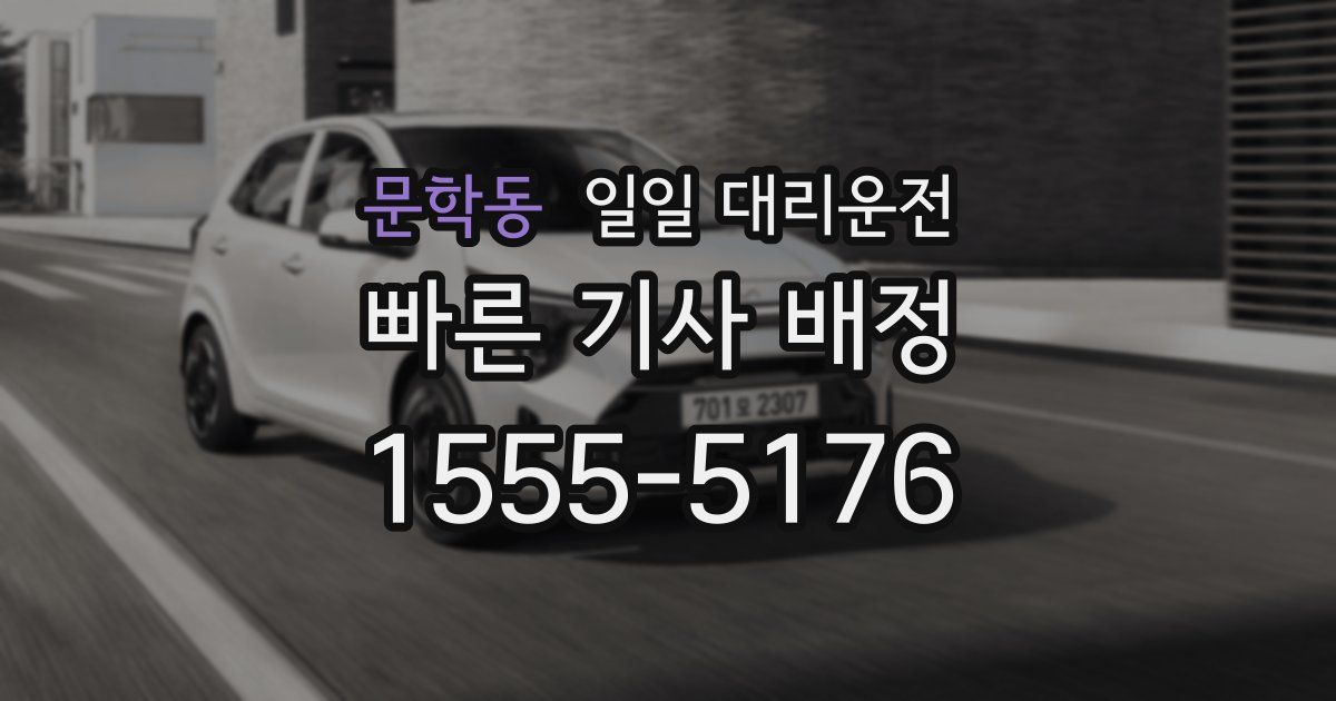 문학동 일일 대리운전