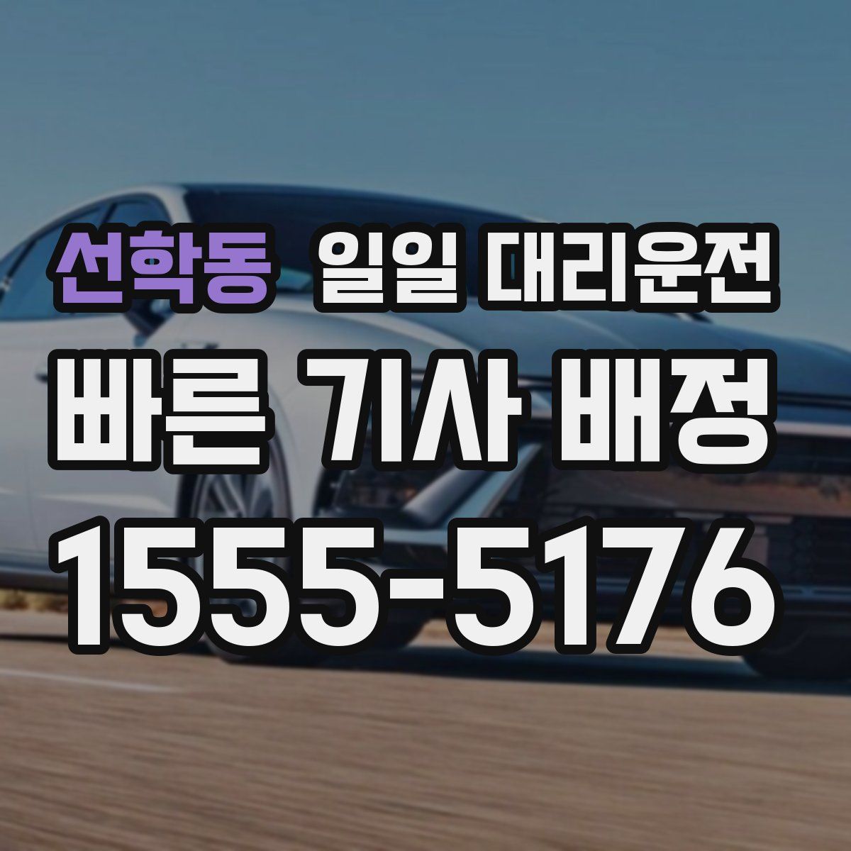 선학동 일일 대리운전