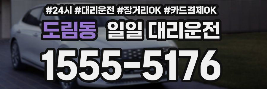 도림동 일일 대리운전
