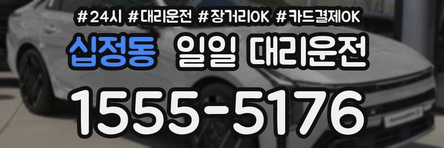 십정동 일일 대리운전