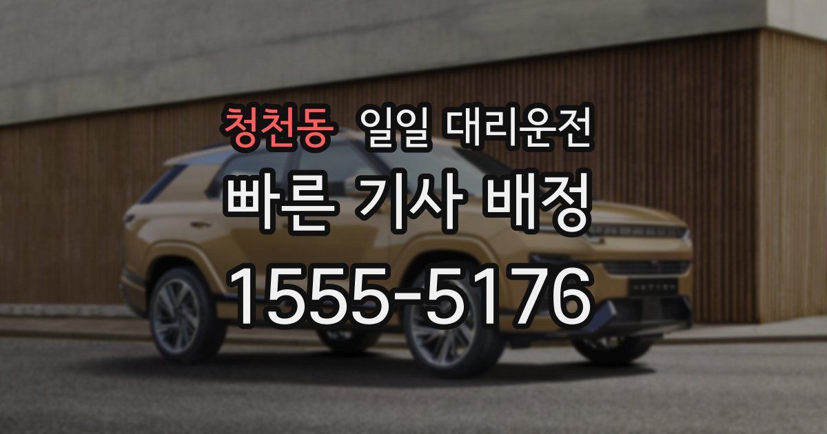 청천동 일일 대리운전