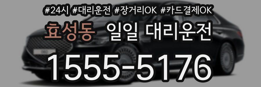 효성동 일일 대리운전