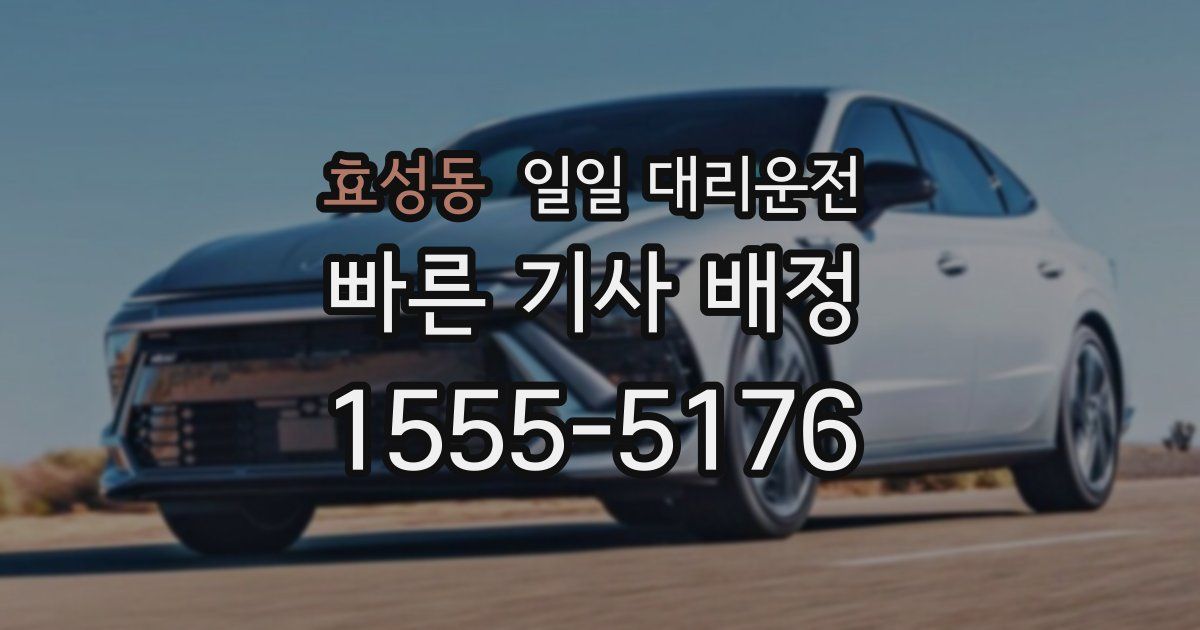 효성동 일일 대리운전