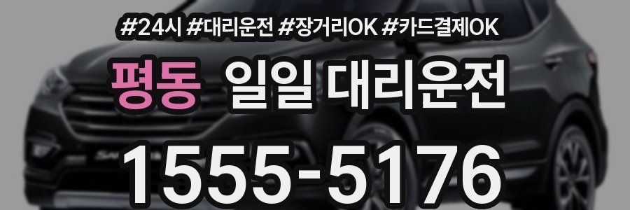 평동 일일 대리운전