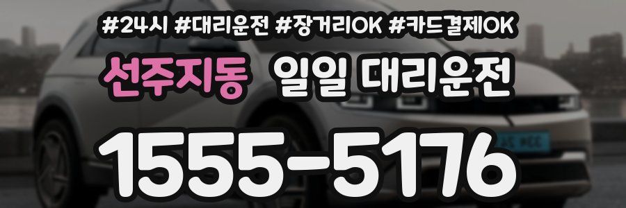 선주지동 일일 대리운전