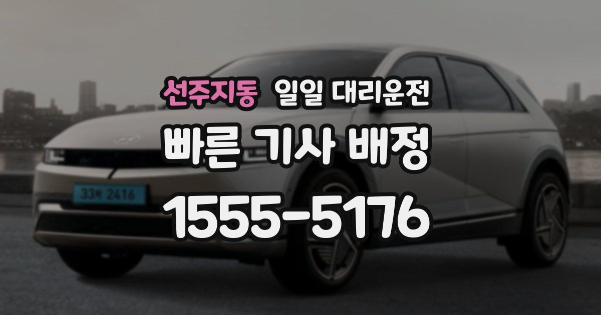 선주지동 일일 대리운전