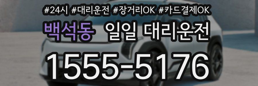 백석동 일일 대리운전