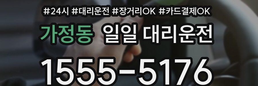 가정동 일일 대리운전