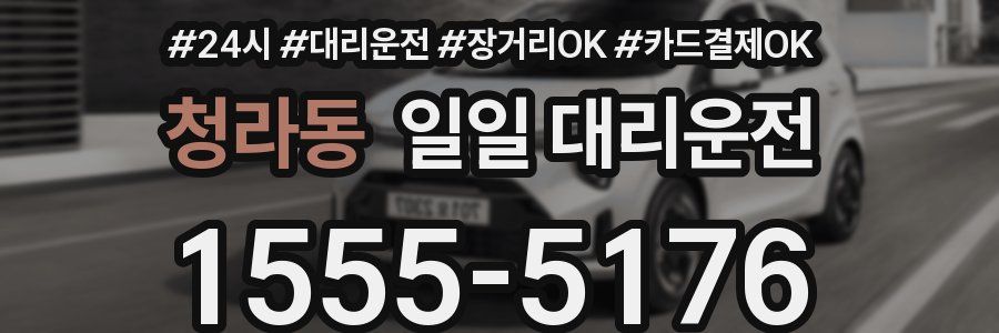 청라동 일일 대리운전