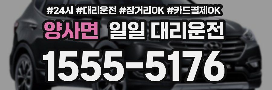 양사면 일일 대리운전