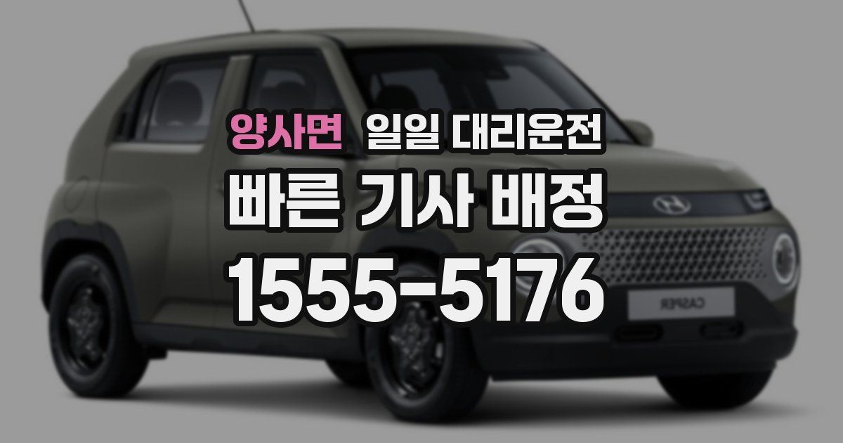 양사면 일일 대리운전