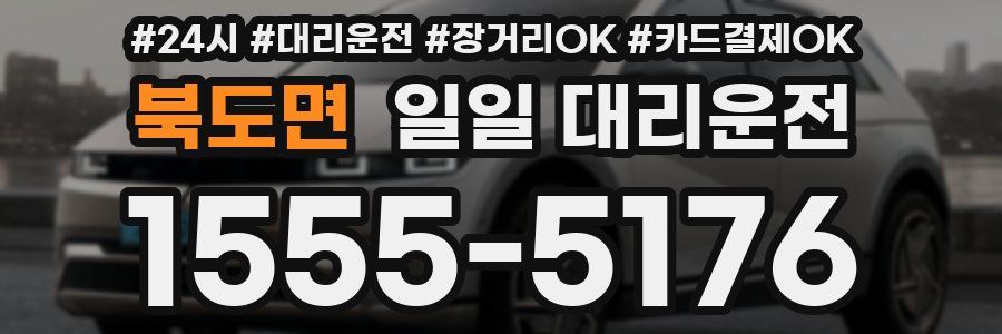 북도면 일일 대리운전