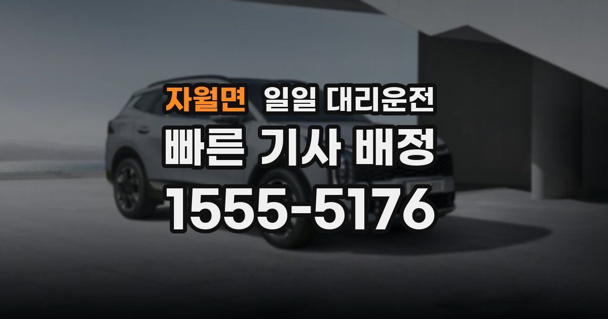 자월면 일일 대리운전