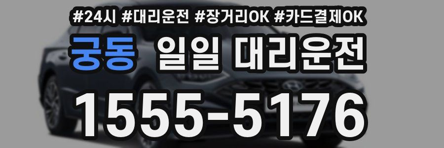 궁동 일일 대리운전