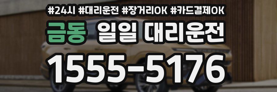 금동 일일 대리운전