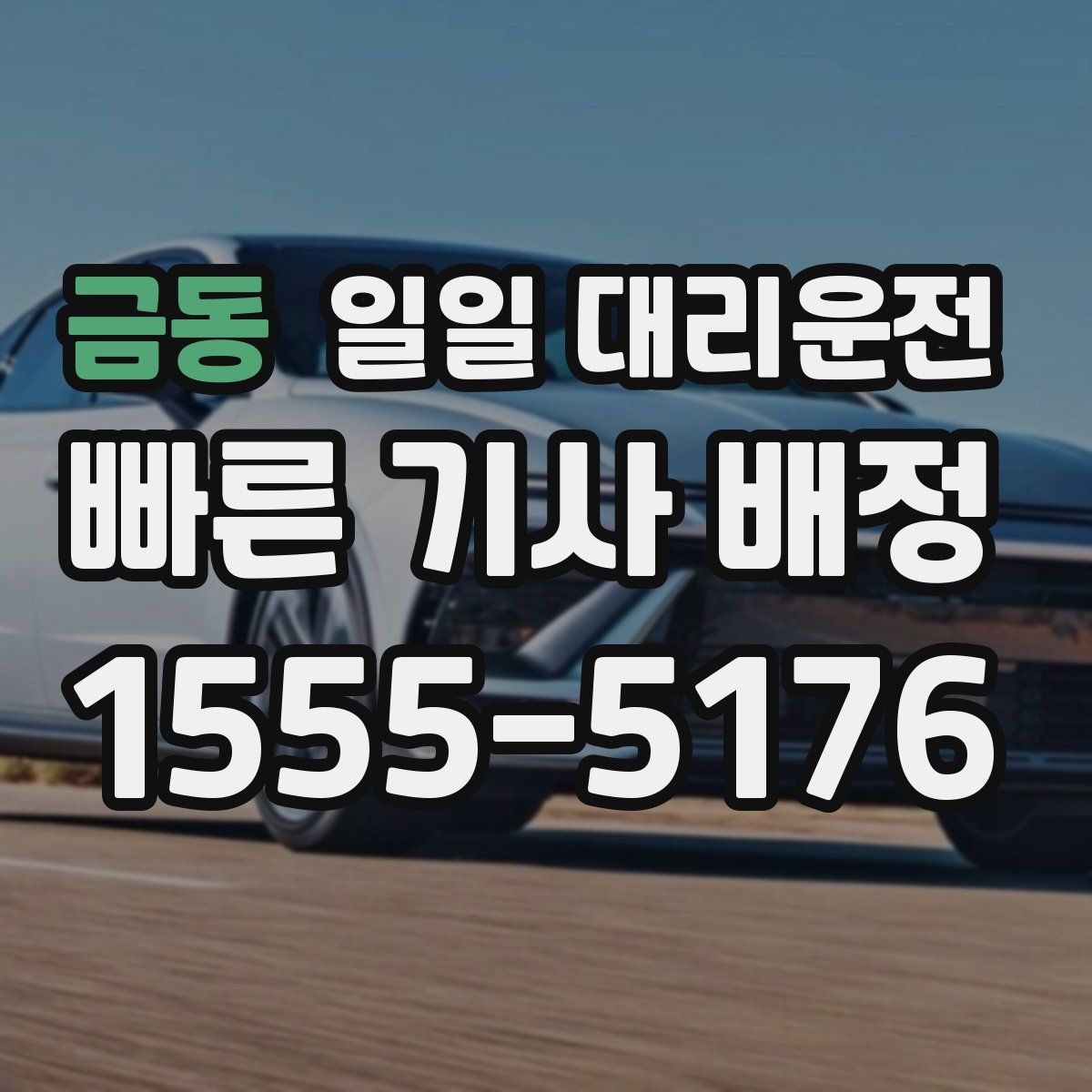금동 일일 대리운전