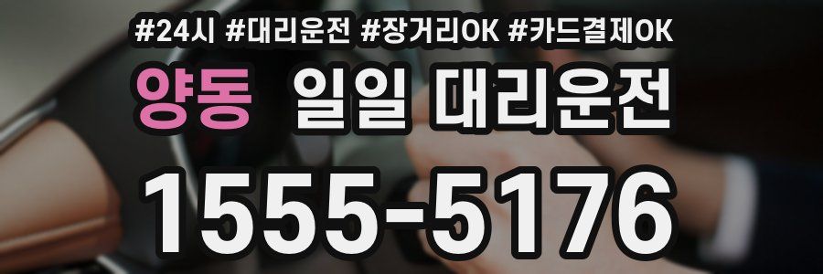 양동 일일 대리운전
