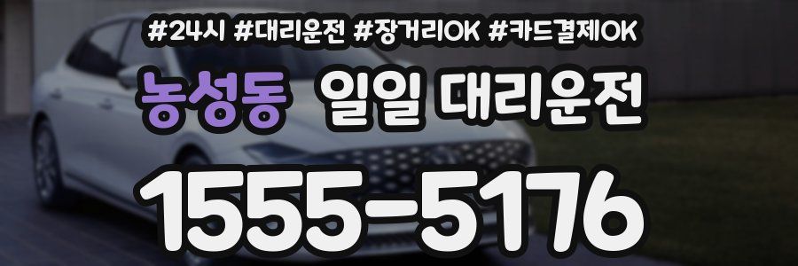 농성동 일일 대리운전