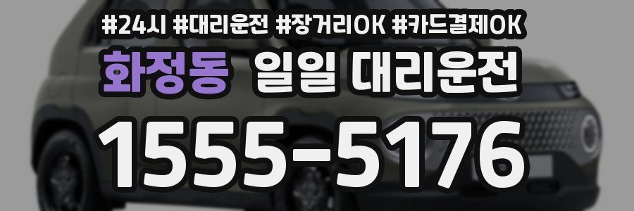 화정동 일일 대리운전