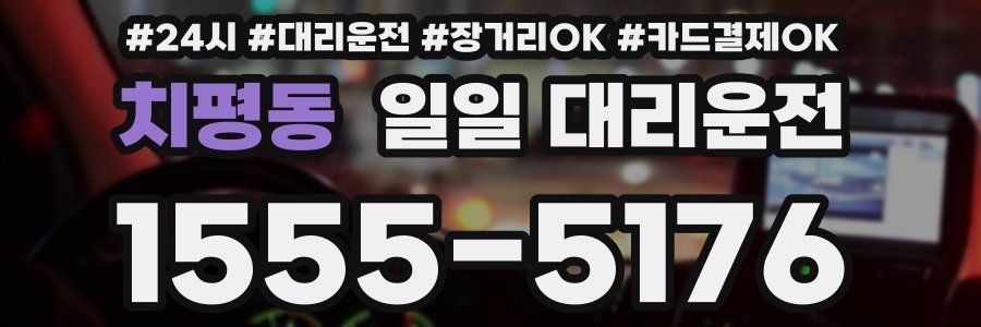 치평동 일일 대리운전