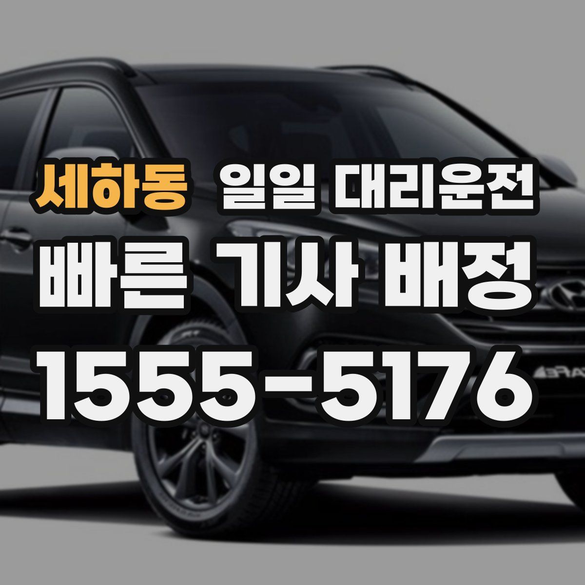 세하동 일일 대리운전