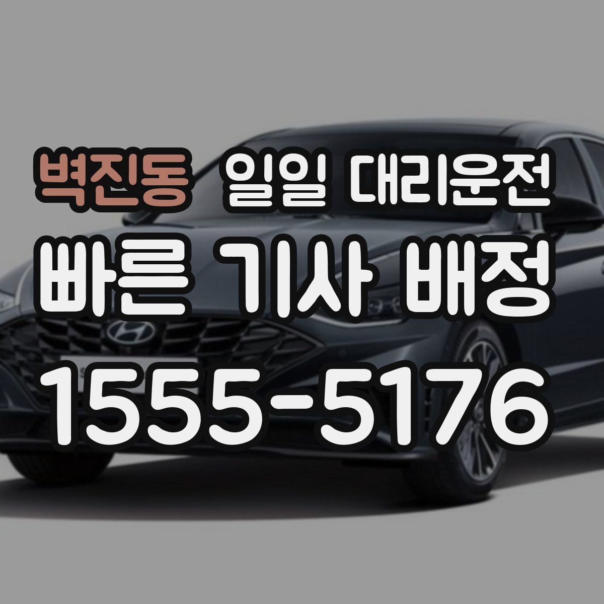 벽진동 일일 대리운전