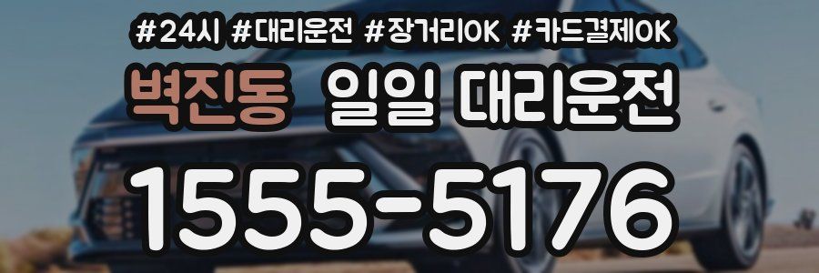 벽진동 일일 대리운전