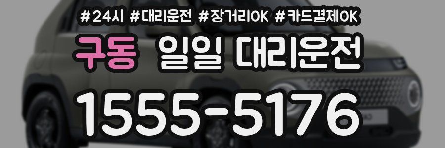 구동 일일 대리운전