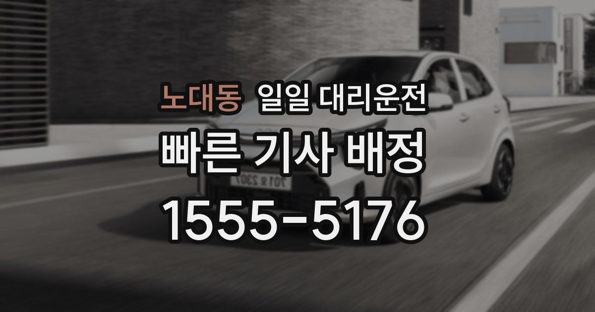 노대동 일일 대리운전