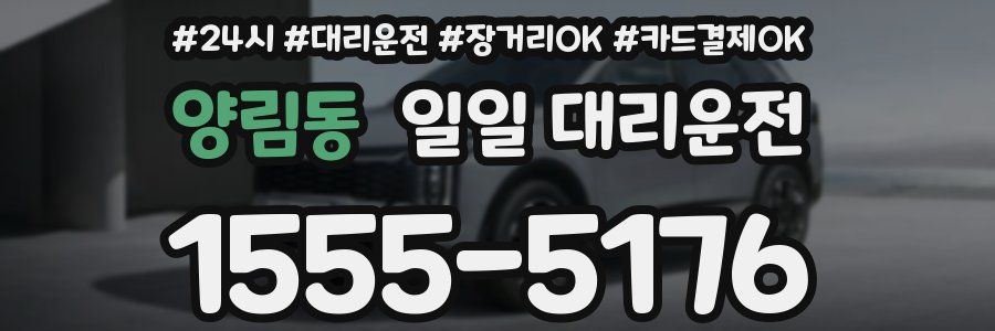 양림동 일일 대리운전