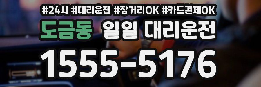 도금동 일일 대리운전