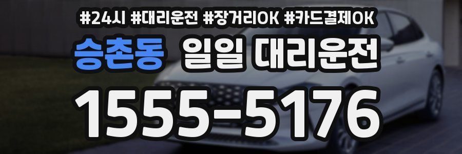 승촌동 일일 대리운전