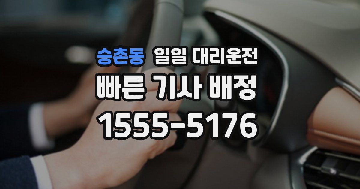 승촌동 일일 대리운전