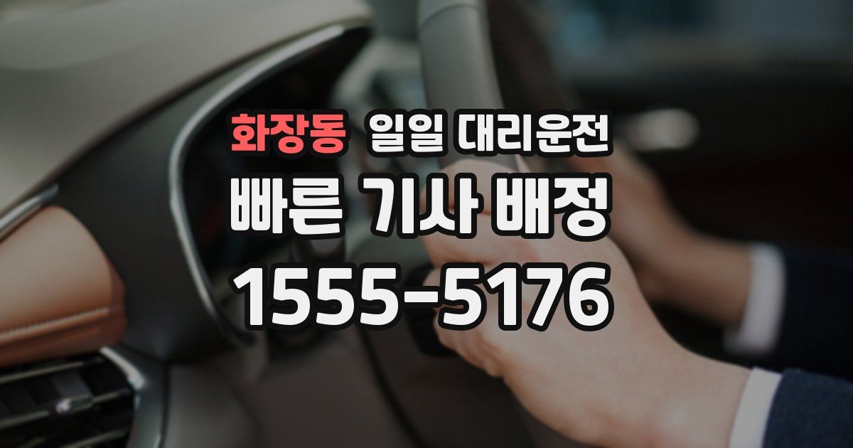 화장동 일일 대리운전