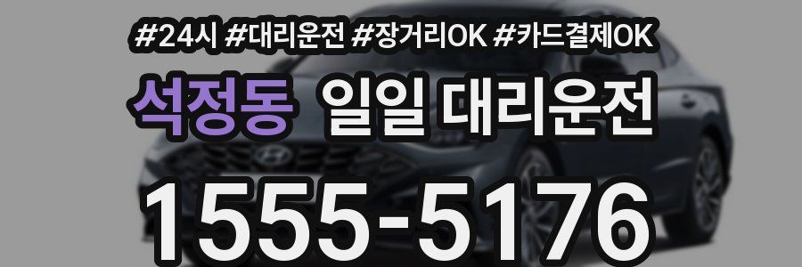 석정동 일일 대리운전