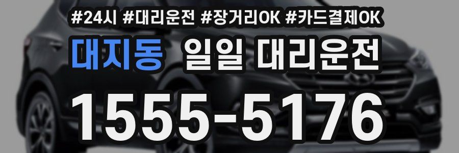 대지동 일일 대리운전