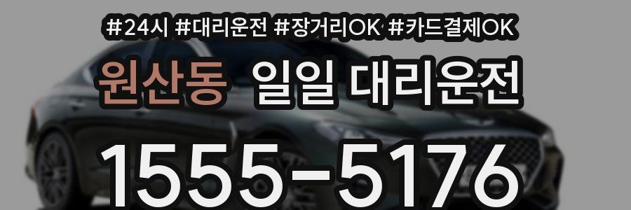 원산동 일일 대리운전
