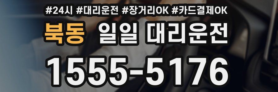 북동 일일 대리운전