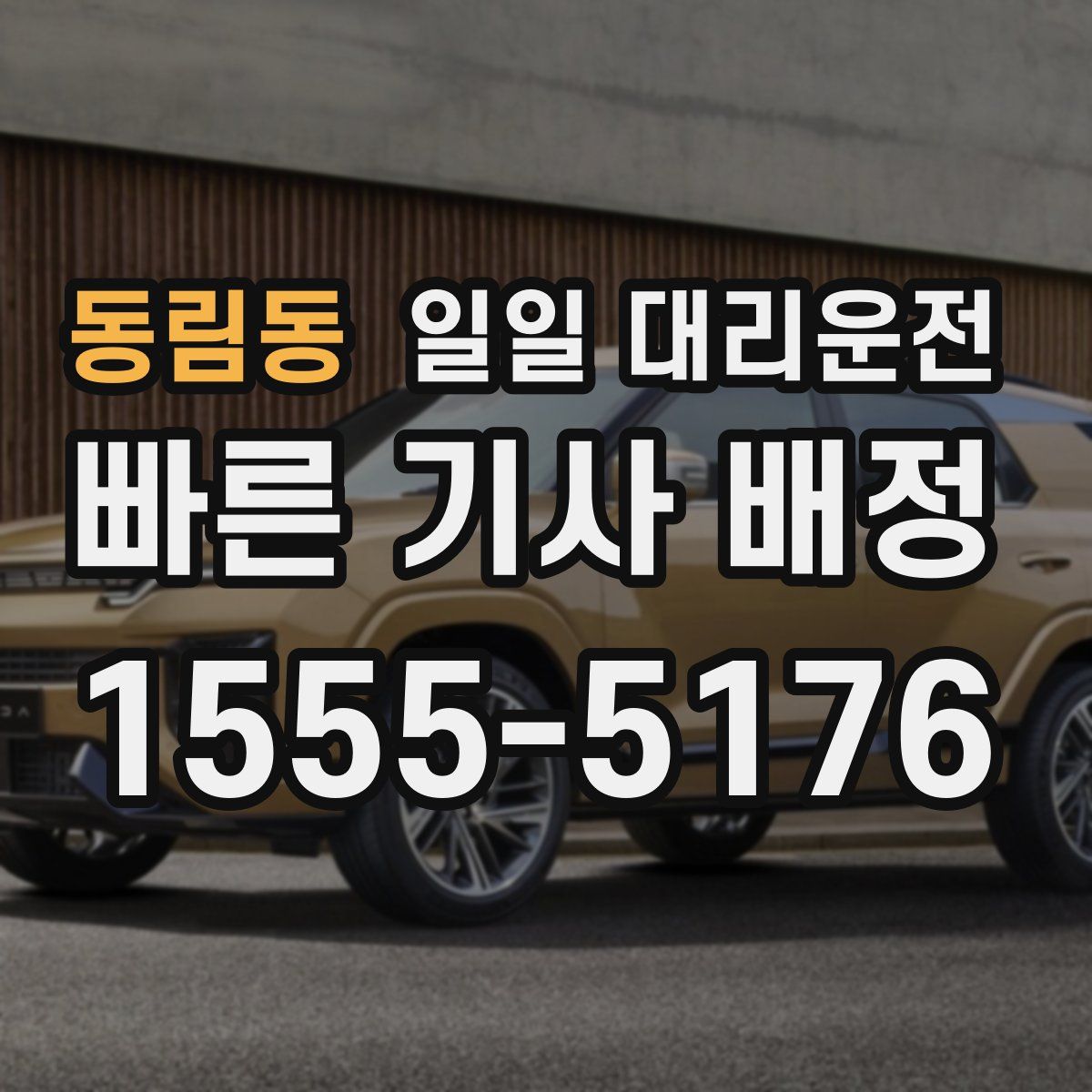 동림동 일일 대리운전