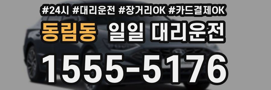 동림동 일일 대리운전