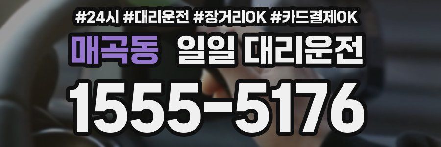 매곡동 일일 대리운전