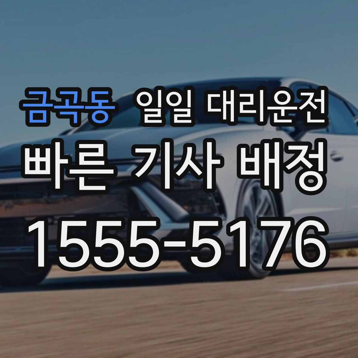 금곡동 일일 대리운전