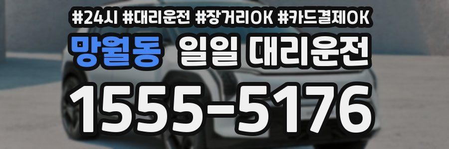 망월동 일일 대리운전