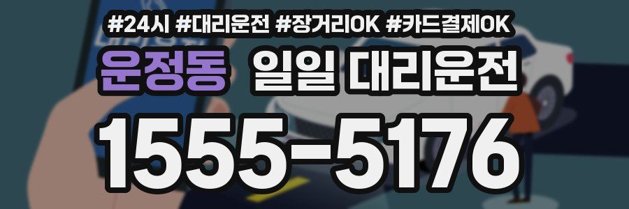 운정동 일일 대리운전