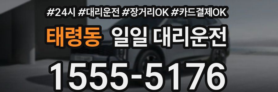 태령동 일일 대리운전