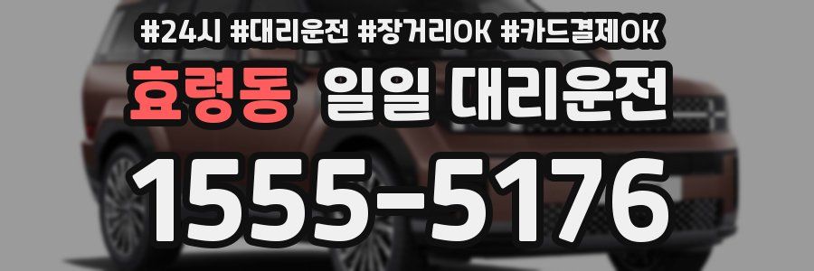 효령동 일일 대리운전