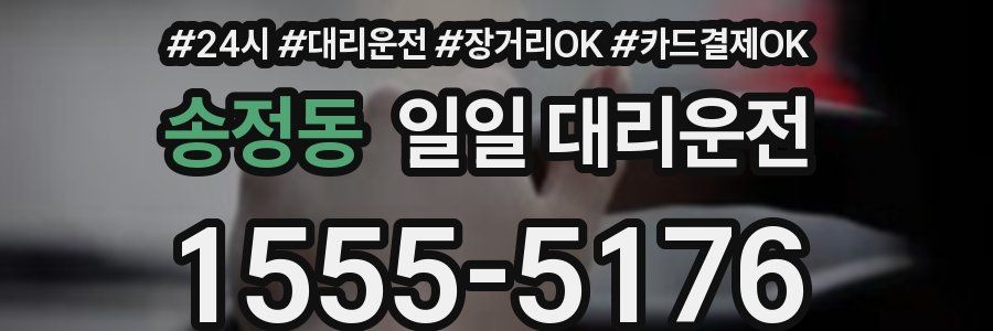 송정동 일일 대리운전